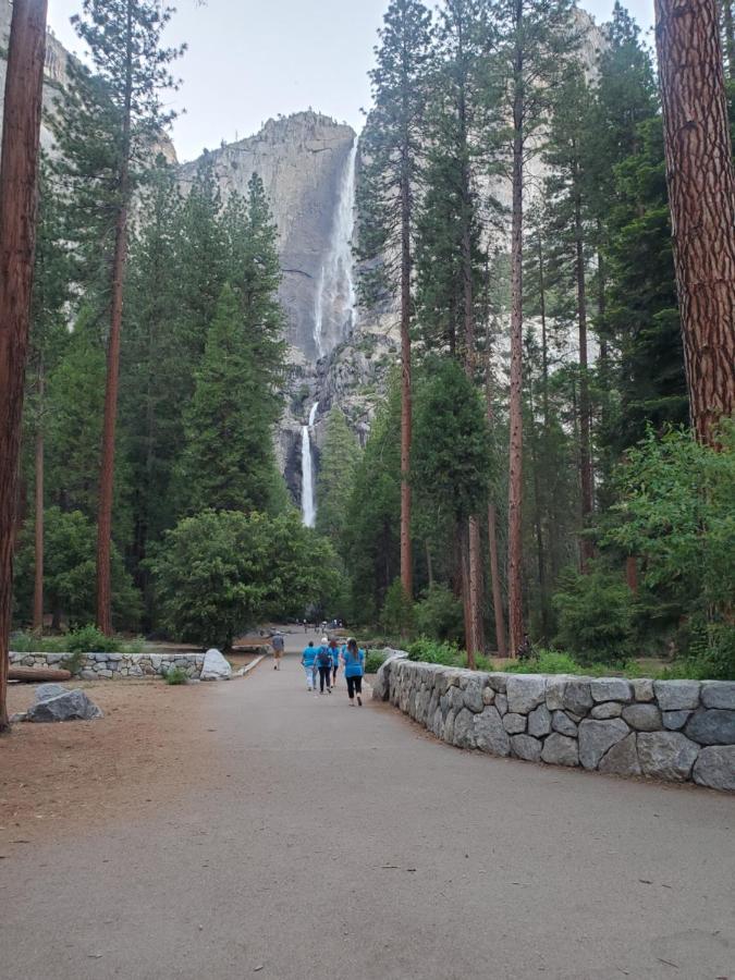 Ponderosa, Master In Yosemite Gem On Ferretti, A Mountain Cabin Homestay *